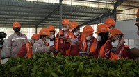 Sejalan dengan manifesto DSC yaitu Karakter Bangsa, Environment, Social dan Governance (ESG), challengers harus berpikir kreatif untuk membuat fondasi kokoh sebuah rekomendasi langkah berkelanjutan sebuah bisnis.
