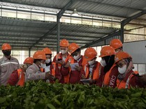 Dukungan untuk Generasi Muda Menjalankan Bisnis Berkelanjutan