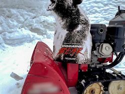 Foto Kreatif Modal Potongan Kertas Bikin Terkesima