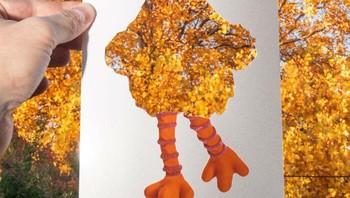Big Bird dengan latar belakang dedaunan musim gugur. Foto: Rudy Willingham via Boredpanda