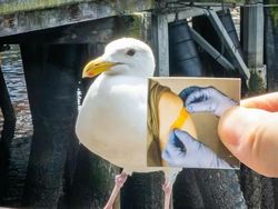 Foto Kreatif Modal Potongan Kertas Bikin Terkesima