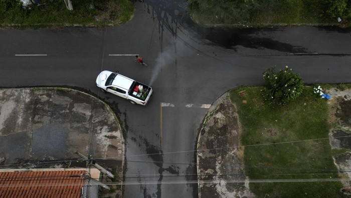 Kerja Keras Memerangi Epidemi DBD di Brasil