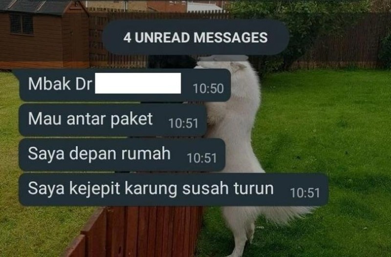 Kurir paket