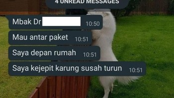 Tak jarang bawaan kurir bisa melebihi gembolan Sinterklas. Foto: X/txtdariolshop