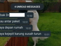 Lika-liku Kurir Paket, Mau Ketawa Takut Dosa