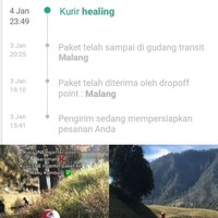 Kurir paket