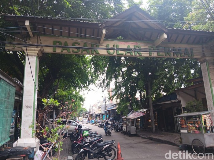 Pasar Ular