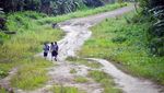 Perjuangan Siswa di Mentawai Jalan Kaki Selama 2 Jam ke Sekolah