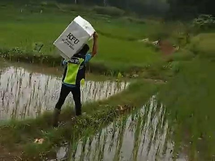 Petugas KPPS-Linmas Angkut Logistik Pemilu Lewati Hutan ke Kantor Desa Margaluyu