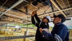 Penampakan PLTS IKN Yang Akan Beroperasi 29 Februari