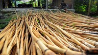 Rotan yang dijual itu sepanjang 3 meter.  