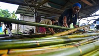 Pekerja menyusun rotan manau (calamus manan miq) yang sudah dibersihkan di Desa Muntei, Siberut Selatan, Kabupaten Kepulauan Mentawai, Sumatera Barat, Jumat (16/2/2024).