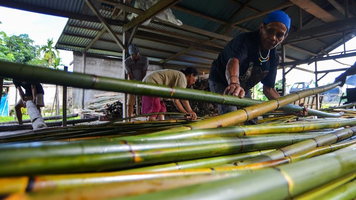 Pekerja menjemur rotan manau (Calamus manan miq) yang sudah dibersihkan di Desa Muntei, Siberut Selatan, Kabupaten Kepulauan Mentawai, Sumatera Barat, Jumat (16/2/2024). Rotan premium asal hutan Mentawai yang memiliki nilai ekonomi tinggi itu dijual pengepul Rp16 ribu per batang dengan panjang tiga meter yang kemudian didistribusikan hingga ke Cirebon,Jawa Barat. ANTARA FOTO/Iggoy el Fitra/aww.