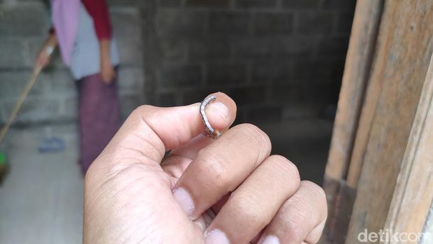 Ulat flamboyan yang bermunculan di sekitar rumah warga di Wonobroto, Tuksono, Sentolo, Kulon Progo, Jumat (16/2/2024).