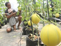 5 Aktivitas Outdoor Seru untuk Isi Akhir Pekan Bareng Teman