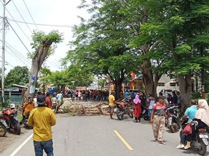 Kesal Tak Dapat C1, Massa Pendukung Caleg di Bima Blokir Jalan Nasional
