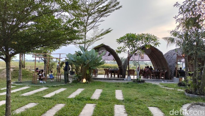 Sawah Lukis Binjai. (Felicia Gisela Br Sihite/detikSumut)
