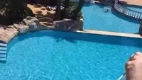 Tak ingin lelah mengambil minuman, aksi dua orang pria yang sedang berenang ini menarik perhatian. Ada sedotan panjang untuk meraih sekaleng soda dari kolam renang yang berbeda posisi lantai. Foto: 1cak.com