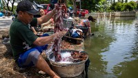 Warga mencuci baju yang sebelumnya terendam banjir menggunakan air sungai sekitar jalur pantura Demak.