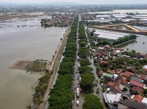 Banjir Masih Genangi Demak
