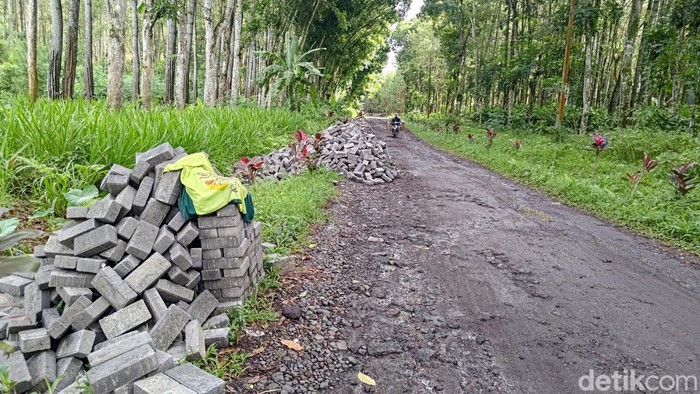 Caleg NasDem Banyuwangi tarik paving