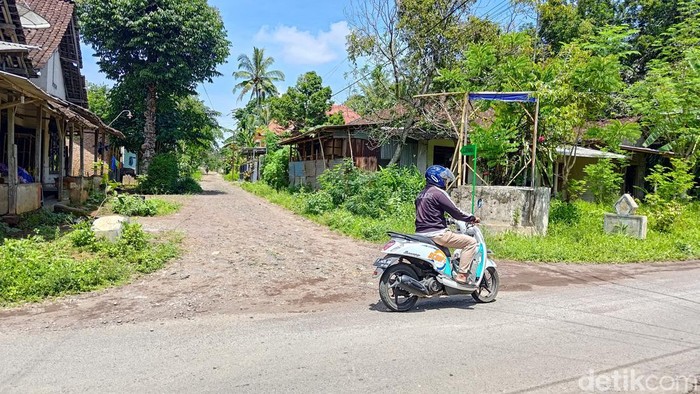 jalan paving di banyuwangi dibongkar gegara nyaleg gagal