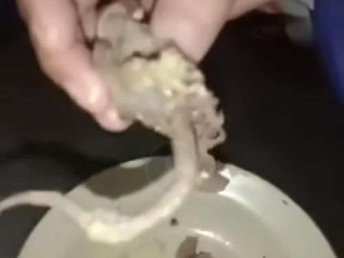 Tangkapan layar video viral rawon diduga pakai daging tikus.