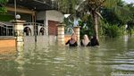 Potret Gresik Jadi Langganan Banjir saat Kali Lamong Meluap