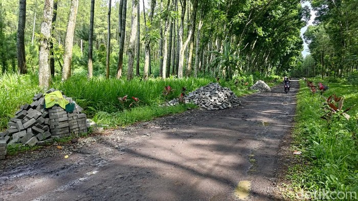 Caleg NasDem Banyuwangi yang diduga menarik kembali bantuan paving.