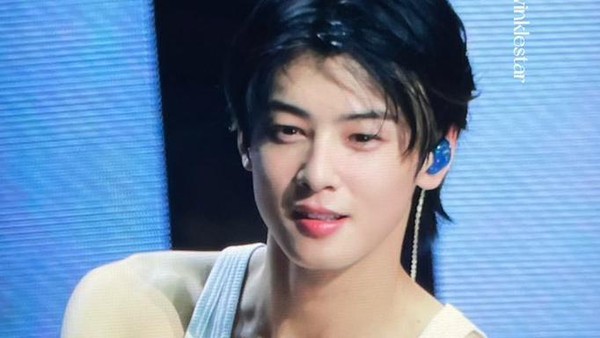 10 Macam Artis Korea Saat Memilih Naskah Drama, Cha Eun Woo Langganan Topless