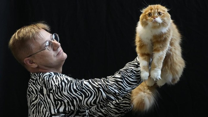 A Bengal cat relaxes on a chair at the Cat Extravaganza event at Olympia in London, Sunday, Feb. 18, 2024. Loving Cats Worldwide brought its Cat Extravaganza and Rescue Awareness Event to London, where visitors could learn all about this intelligent species by observing the show's five judging rings. Plus, meet with local rescues and charities, as well as hear educational anecdotes about different cat breeds. (AP Photo/Kirsty Wigglesworth)