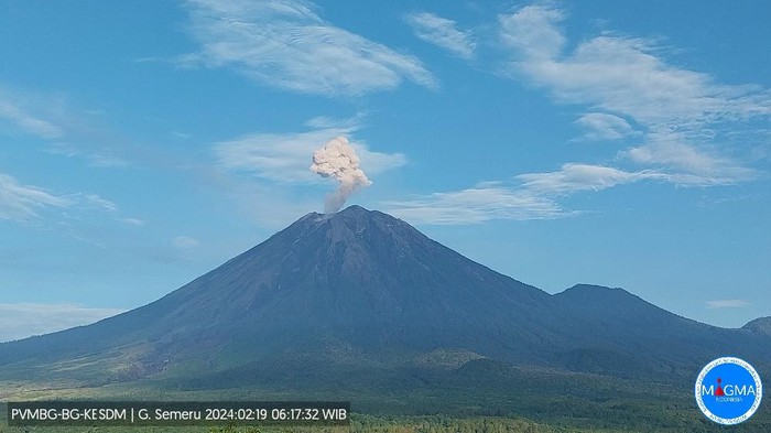 gunung semeru erupsi Senin, 19 Februari 2024, pukul 06:15 WIB dengan tinggi kolom abu teramati ± 1000 m