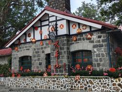 Keramaian Hong Kong dalam Jepretan Kamera Vivo Y100 5G