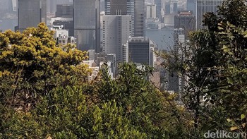 Kemampuan zoom digital Vivo Y100 5G cukup memuaskan. Foto: Virgina Maulita Putri/detikINET