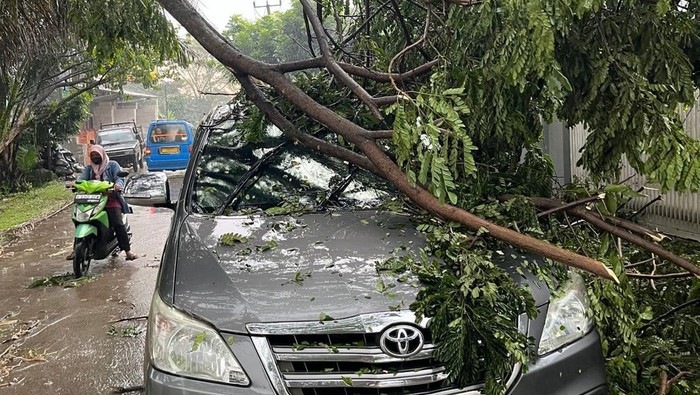 Pohon tumbang timpa mobil di Bogor. (Dok. Istimewa)