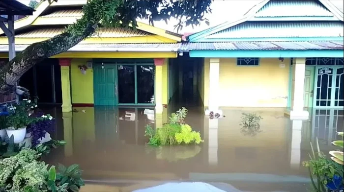 Rumah warga di Palopo terendam banjir.