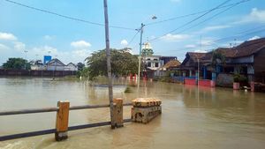 Rumah dan Sawah di Gresik Terendam Banjir Akibat Luapan Kali Lamong