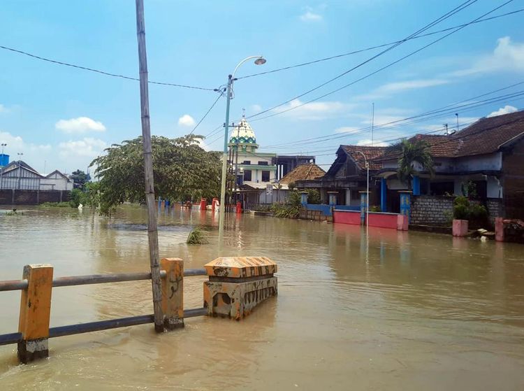 Rumah dan Sawah di Gresik Terendam Banjir Akibat Luapan Kali Lamong