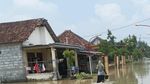 Rumah dan Sawah di Gresik Terendam Banjir Akibat Luapan Kali Lamong