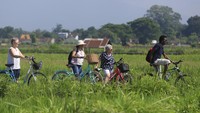 Wisata di Yogyakarta ini menawarkan menikmati panorama alam sambil mengayuh sepeda.  