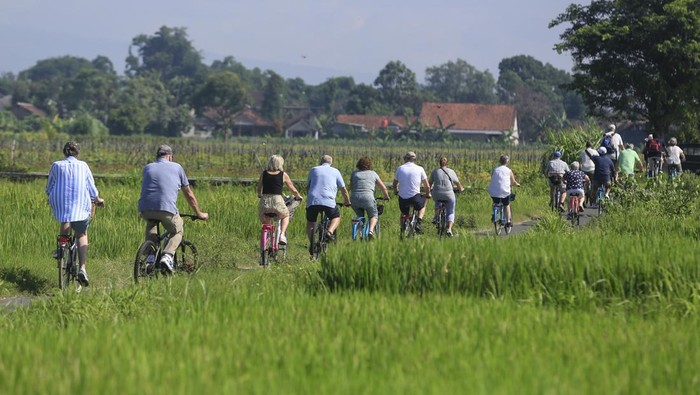 Serunya Bule-bule Jelajahi Persawahan Yogyakarta Naik Sepeda Wisatawan mancanegara bersepeda di area persawahan Sleman, DI Yogyakarta, Senin (19/2/2024). Pemerintah melalui Kementerian Pariwisata dan Ekonomi Kreatif menargetkan jumlah kunjungan wisatawan mancanegara ke Indonesia mencapai 14,3 juta orang pada tahun 2024. ANTARA FOTO/Hendra Nurdiyansyah/Spt.