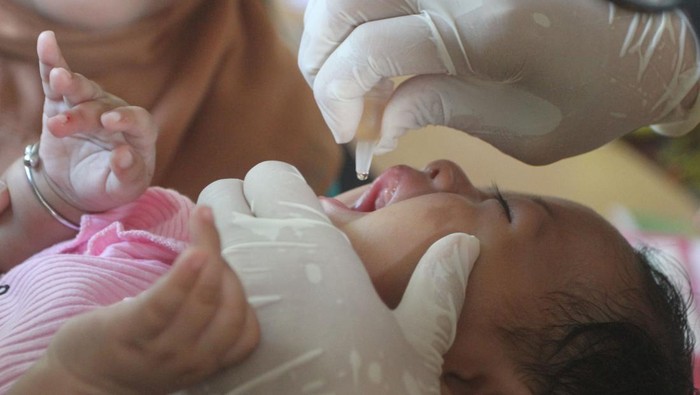 Dokter meneteskan vaksin polio jenis imunisasi novel Oral Polio Vaccine Type 2 (nOPV2) kepada seorang siswa di SDN Sawah Besar 2, Semarang, Jawa Tengah, Senin (19/2/2024). Kementerian Kesehatan menggelar Sub Pekan Imunisasi Nasional (PIN) Polio tahun 2024 putaran kedua secara serentak di tiga provinsi dan satu kabupaten yakni Jawa Tengah, Jawa Timur, DIY, dan Sleman dengan total sasaran 8,4 juta anak berusia 0-7 tahun selama tujuh hari sebagai upaya menanggulangi kejadian luar biasa (KLB) polio. ANTARA FOTO/Makna Zaezar/Spt.