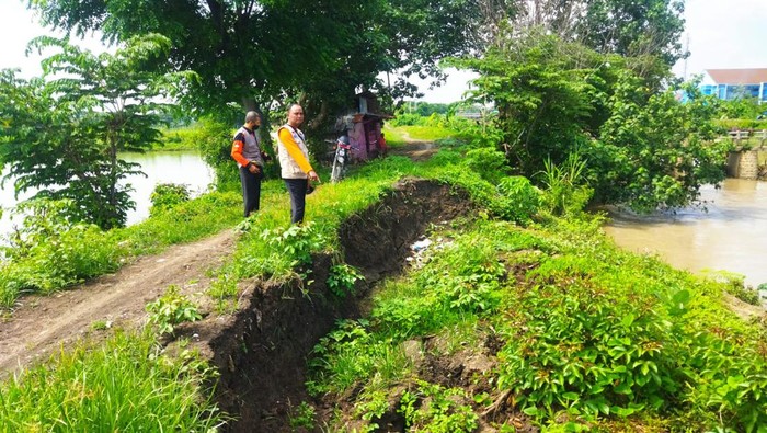 Tanggul Kali Plalangan Lamongan sliding
