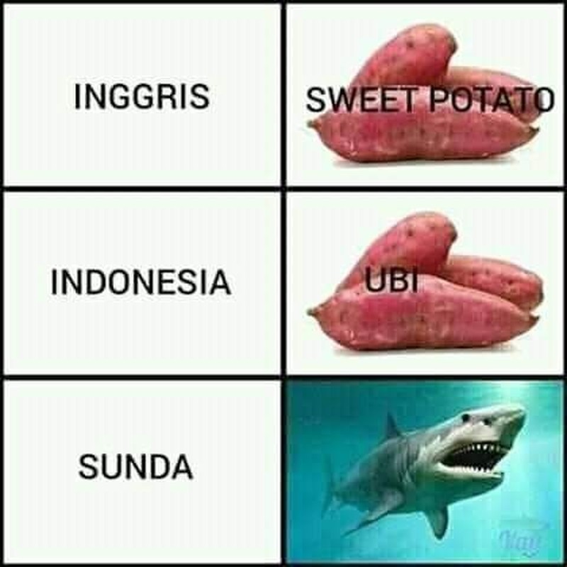 Bahasa Sunda merupakan salah satu bahasa lokal yang banyak digunakan. Kamu bisa ngerti semua tebakan di bawah ini?