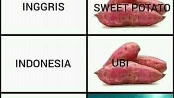 Salah woi, salah. Foto: Instagram/dagelann_ngakak