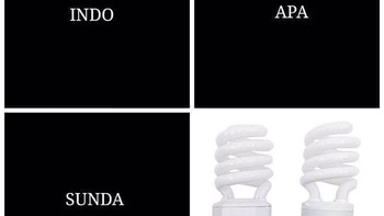 Lampunya kurang pas ya. Tapi bisa nebak dong, detikers. Foto: Instagram/dagelann_ngakak