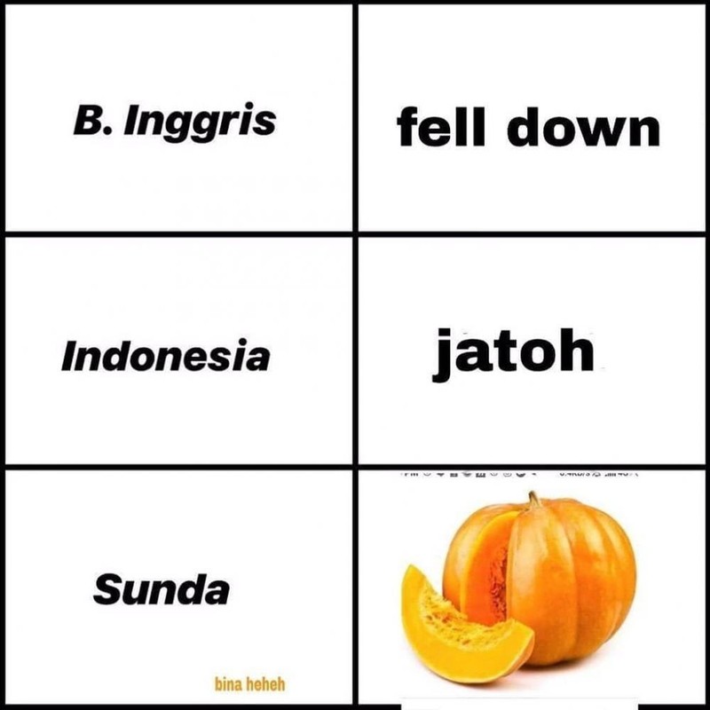 Bahasa Sunda merupakan salah satu bahasa lokal yang banyak digunakan. Kamu bisa ngerti semua tebakan di bawah ini?