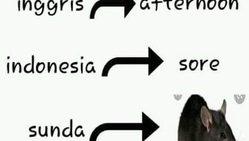 Level terakhir, level yang sangat sulit. Foto: X/ilhamdysis