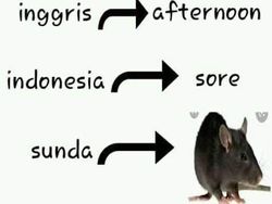 Tebakan Kocak Bahasa Sunda, Bisa Jawab Semua?