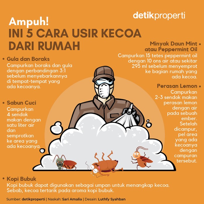 Ilustrasi kecoa